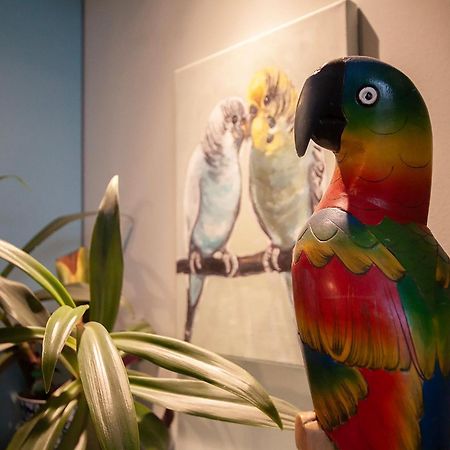 בידגוז'יז' Apartament U Olechny 5 מראה חיצוני תמונה