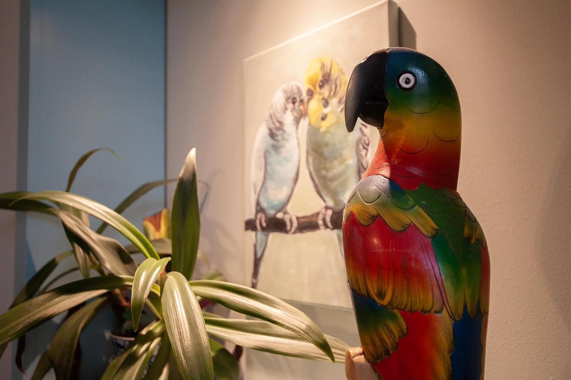 בידגוז'יז' Apartament U Olechny 5 מראה חיצוני תמונה