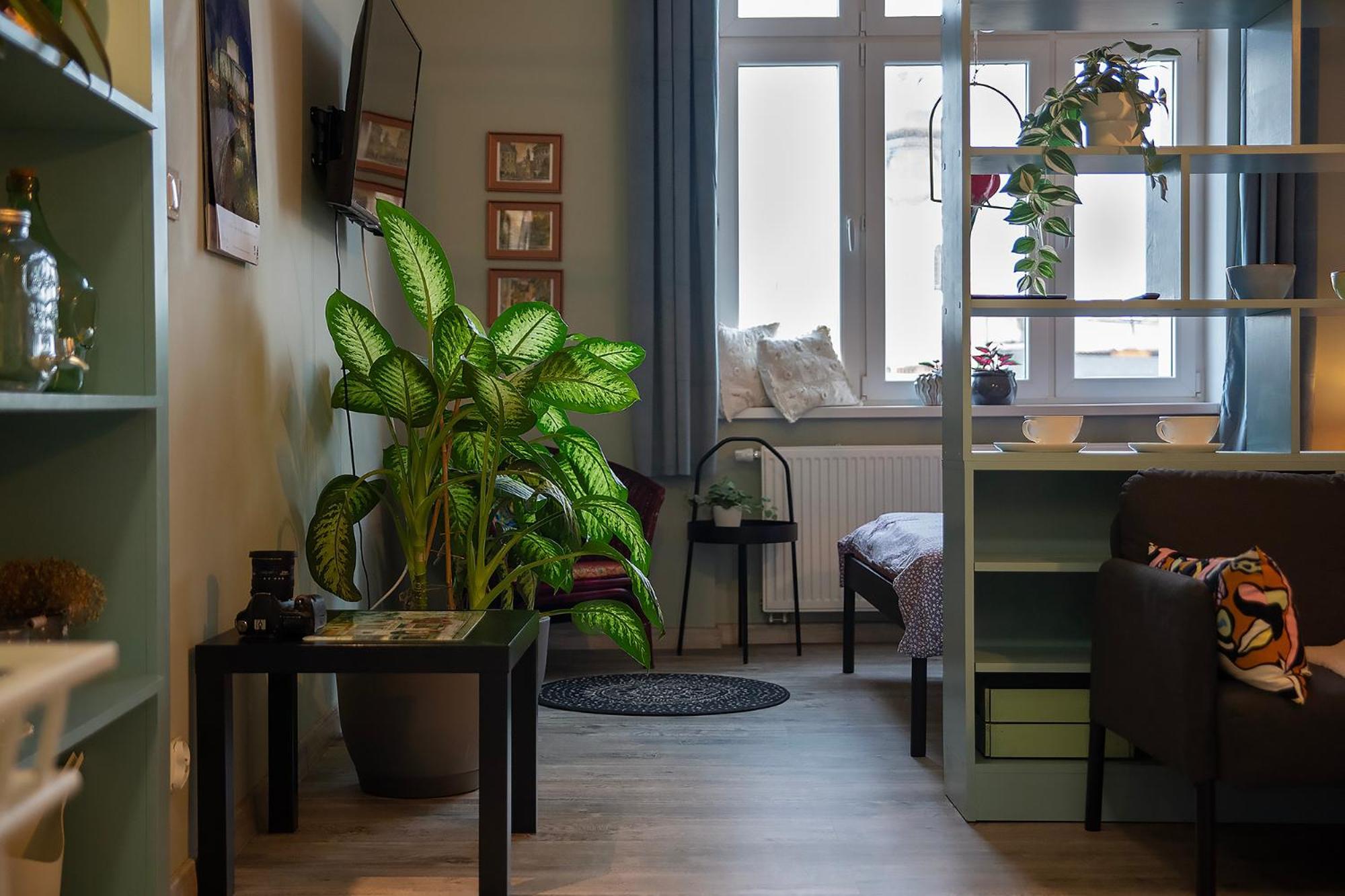 בידגוז'יז' Apartament U Olechny 5 מראה חיצוני תמונה